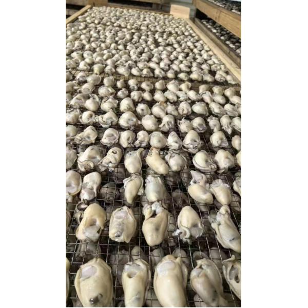 Arôme naturel Huîtres séchées Fruits de mer séchés Viande d'huître séchée