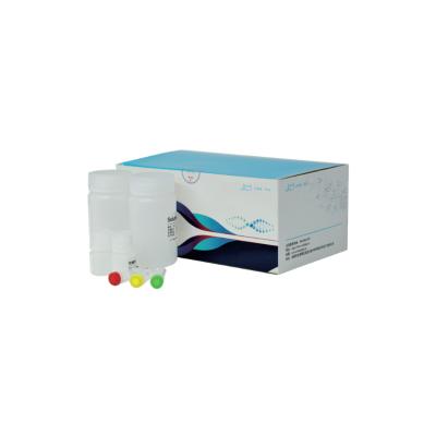 Blood/Saliva RNA Extraction Kit