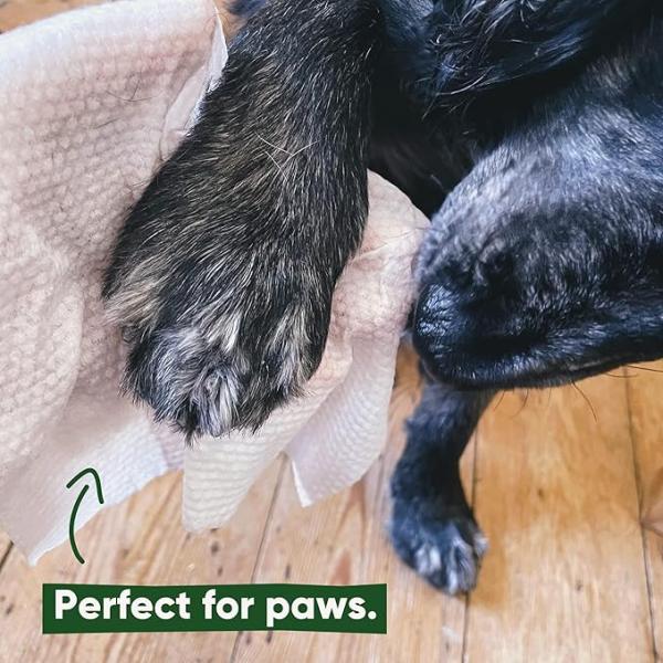 Logo Customized Logo Acceptable Pet Grooming Dental Cleaning Wipes for Cats Dogs Pets