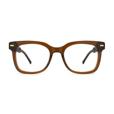 Não o Eyewear do acetato da prescrição molda vidros para mulheres dos homens