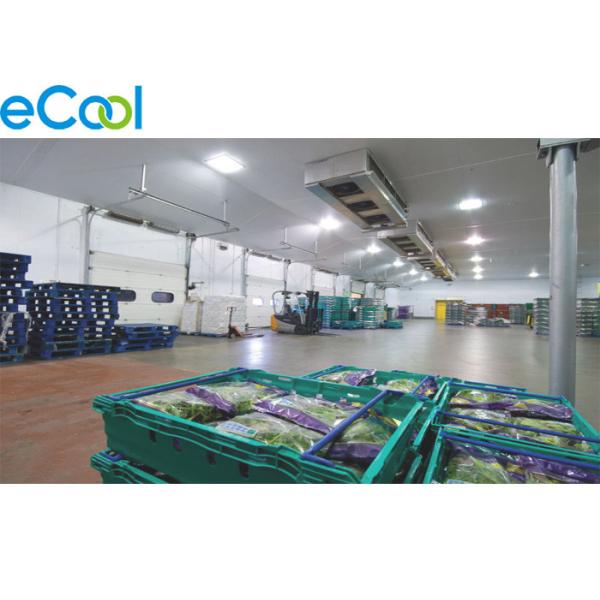 Fresh Keeping Cold Storage Of Fruits And Vegetables With Package / PUR Sandwich