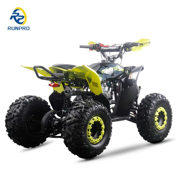 Powerful 125cc Gas Fuel ATV Quads with 2WD Driving Type and Interesting Features
