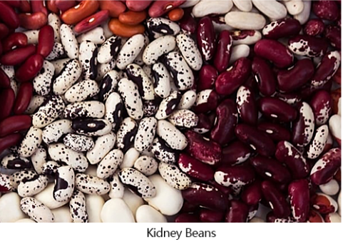 RGB AI Beans Color Sorter Precise Detection Bean Sorting Machine