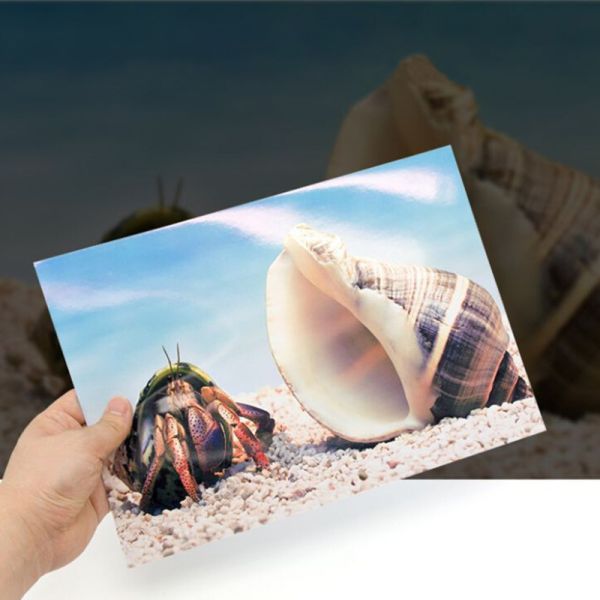 Quick Drying Inkjet Printer Glossy Paper Waterproof UV Resistant In A4 Size