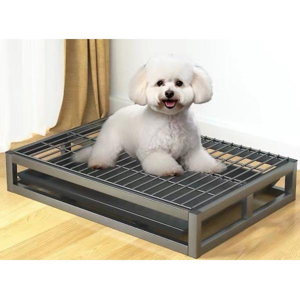 Large Dog Removable and Washable Dog Toilet for Sustainable at Shanghai or Nanjing Port