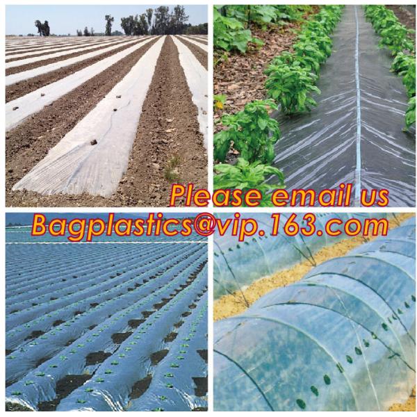Agricultural Mulching Film Used for Fruit, Flower and Vegetable