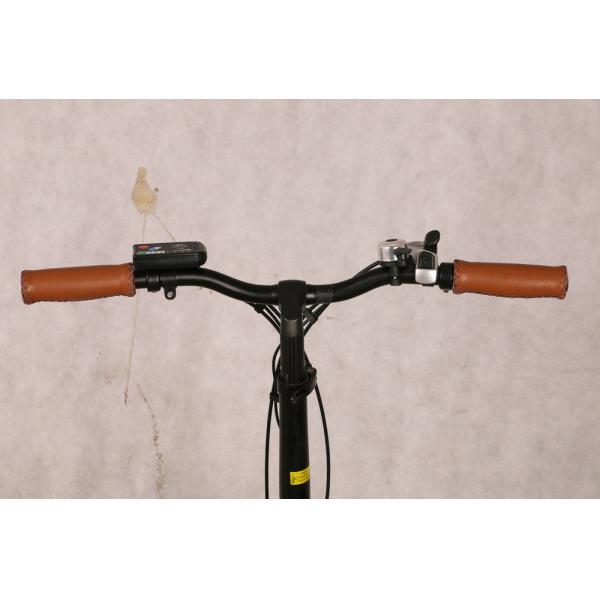 36V 250W Motorized Folding Bike TUV EN15194