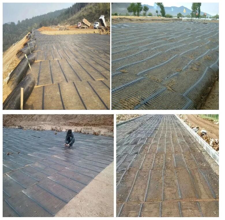 Полипропилен одно подкрепление Geogrid почвы пути для наклонов