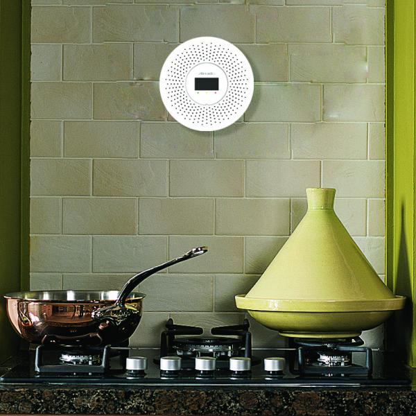 Indoor Independent Combustible LPG Gas Alarm For Kitchen Security