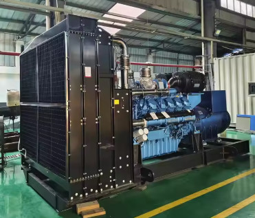 1800kVA 1440KW Satisfactory Dynamo LPG Generator Gas Generator Natural Gas Set For Industrial Energy Supply