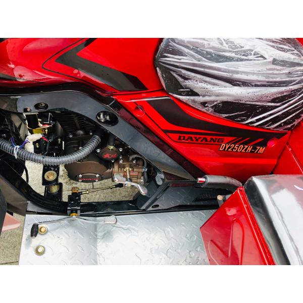 800W DAYANG DY-R1 RUITENG 250cc Tricycle cargo pour lourds CCC Trois roues moto