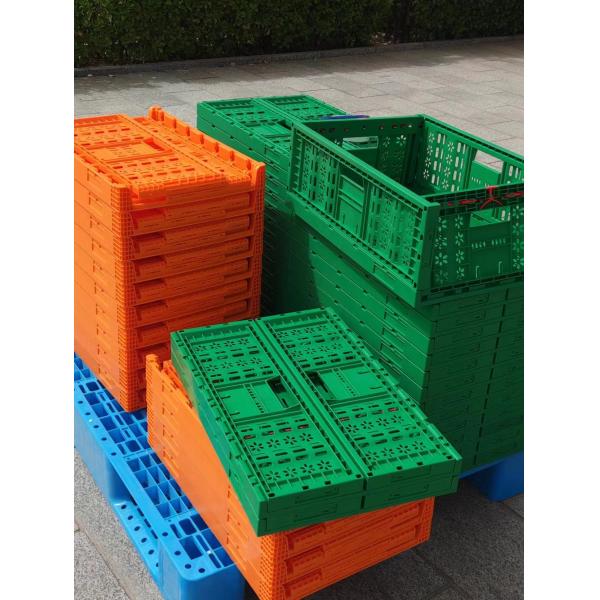 PE/PP складной контейнер для снаружи для кемпинга многофункциональный складной автомобиль