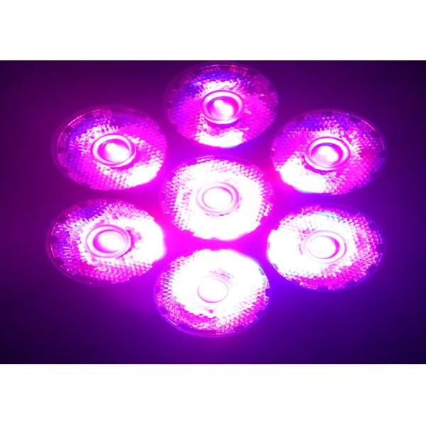 7 luz principal móvil del disco LED de DJ del club nocturno de x 12w/lámpara móvil de las cabezas del haz