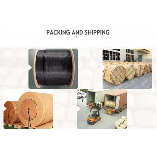 Стекло 12 ядров волокна плотного буфера бронированное - трубка ФО кабеля оптическ волокно волокна Арморед центральная привязывает