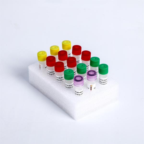 Illumina NGS Library Construction Fast DNA Library Plus Prep Kit K004-A K004-B