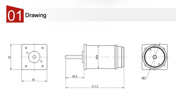 Electric Door Motor