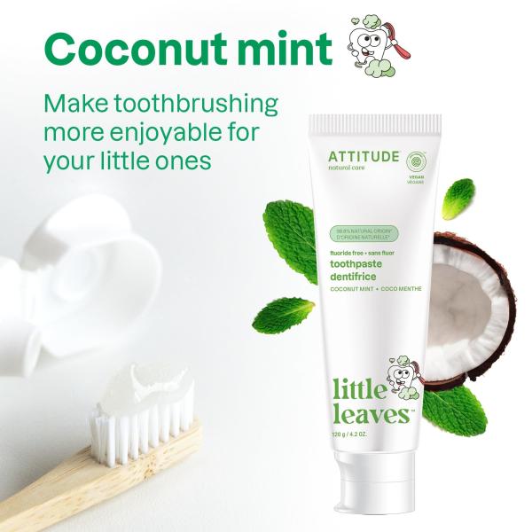 OEM Logo Fluoride Free Toothpaste Sugar Free Coconut And Mint Flavor 4.2 Oz