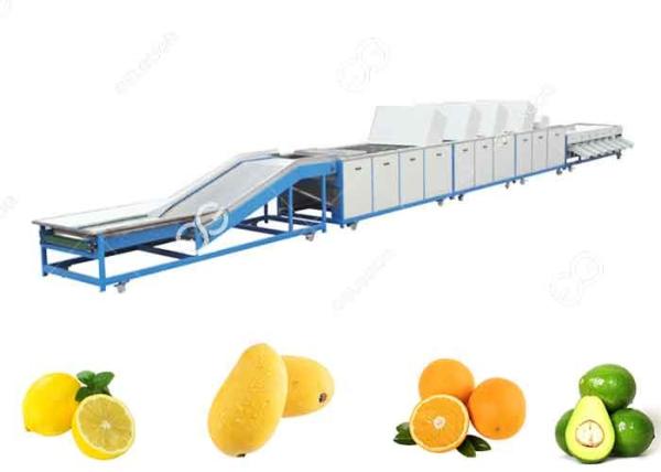 1t/H-5t/H Fruit Washing Equipment Fruit Washing Line For Fruit Export Sales