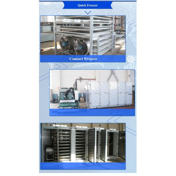 Blast Freezer For Sea Food Fish Processing