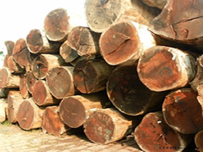 Raw Materials Purchasing And Logistics , Transport And Logistics Management