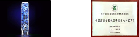 Environmentally Friendly Low Carbon High Temperature PET Buffet Plate Size L