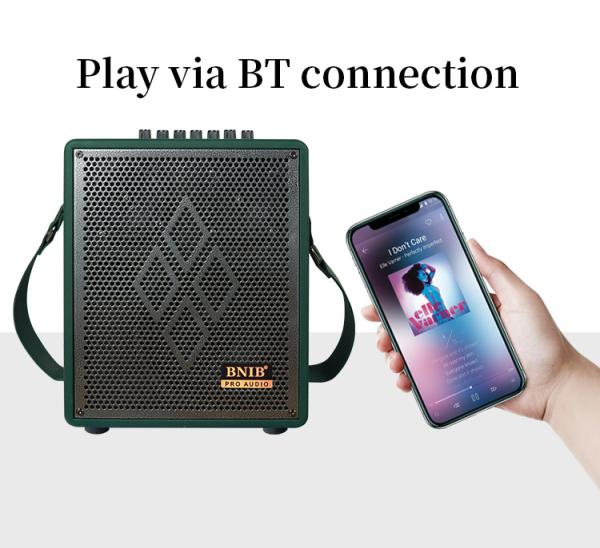 Customized Karaoke Portable Bluetooth Speaker 6.5 Inch Subwoofer Speaker Box