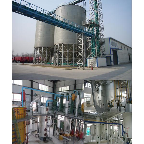 30t/d Peanut Soya Rice Bran Plant Oil Solvent Extraction Machine Production Line Clean and Processing for Restaurants