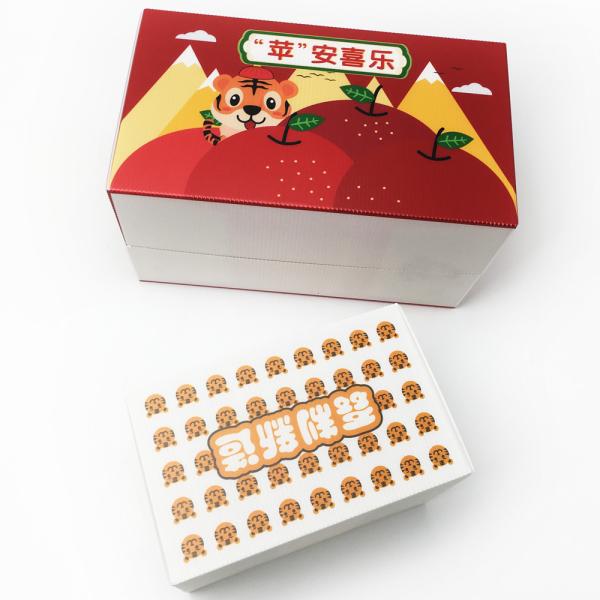 Waterproof 3mm Plastic Corrugated Packaging Box HD Printing