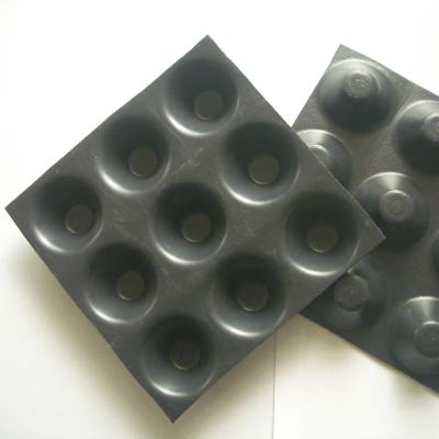 Modern Design Style Drainage HDPE Composite Drainage Board for Building and Construction
