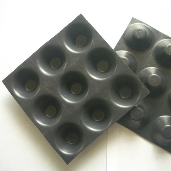 Modern Design Style Drainage HDPE Composite Drainage Board for Building and Construction
