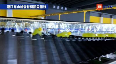 Automatic Mango Juice Packing Machine Bottle Sterilization Chain