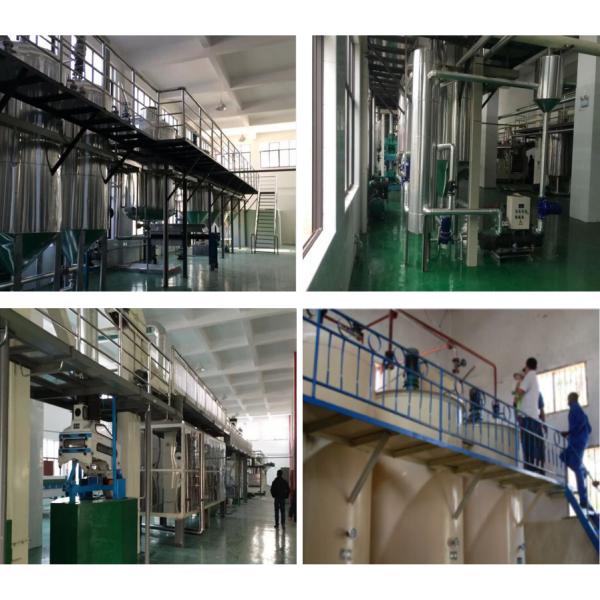 Field Maintenance and Repair Service Small Rapeseed Waste Oil Refining Plant with Babassu Palm Kernel Oil Fractionation