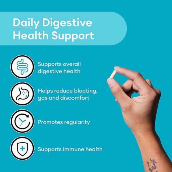 Organic Prebiotic And Probiotic Capsules Herbal Digestive Support Supplement