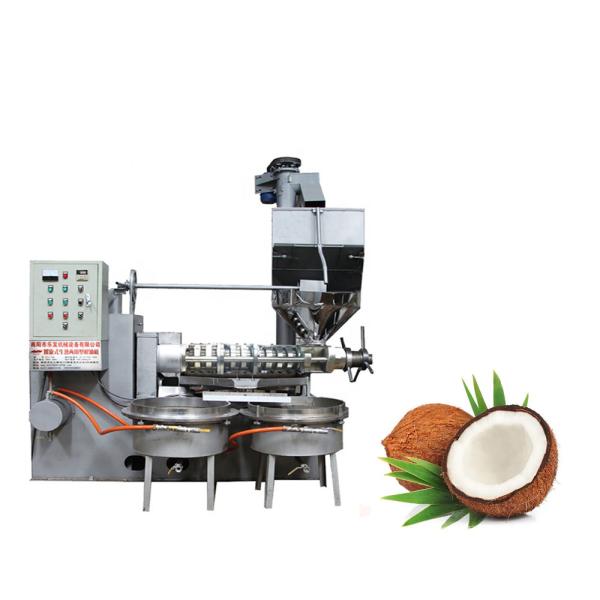 Virgin Coconut Oil Screw Type Oil Expeller / Screw Type Press Machine
