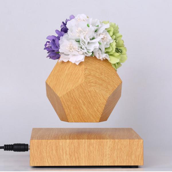 magnetic suspension air bonsai, flying plant ,levitation flower pot