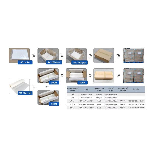 60cm DTF PET Heat Transfer Film  Fast Curing Cold & Hot Peel For DTF Printer On T-Shirt