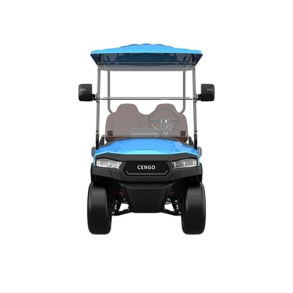 Affordable 2 Seat Electric Golf Buggy Perfect for Family and Hunting on the Beach