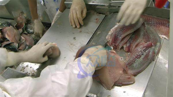 Fabrica venda direta Máquina de descascar de aço inoxidável de alta qualidade Adequado para todos os tipos de peixe Equipamento de produtos aquáticos