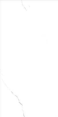 Four Face Infinite Continuous Pattern  Stone Look Porcelain Tile 600x1200mm WY61201