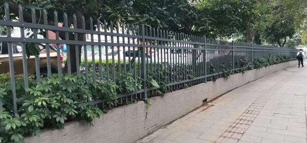 Muralha de ferro tubular revestida com pó preto Muralhas horizontais de metal sólido para jardim