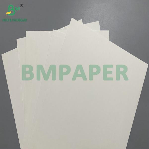 PE Coated 190 - 350gsm Bowl Paper Used for Disposable Paper Bowls
