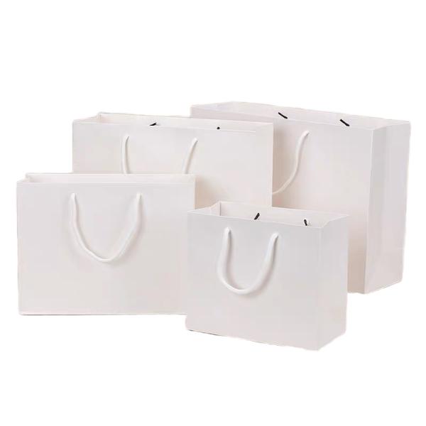 Durable Luxury Modern Design Matte Lamination Art Paper Shopping Bags Handle Customizable Your Logo Digital