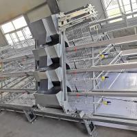 Bebé Chick Cage de 4 gradas