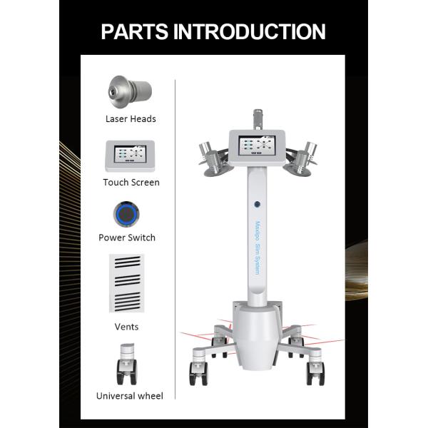 Dispositivo de escultura corporal no invasivo sin dolor Equipo de belleza láser de 635nm