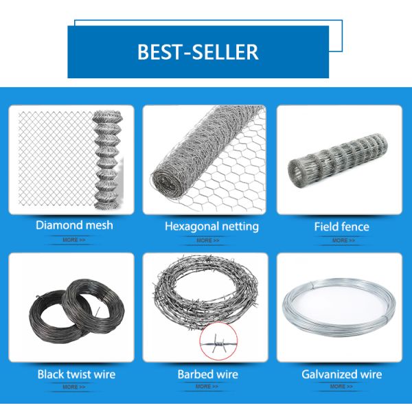 Hot Dipped/Electric Galvanized Welded Wire Mesh Panel Steel Matting 1x1 Inch Galvanized Steel Welded Wire Mesh Panels for Barbecue Manufacturer Direct Wholesale Bending Processing Service