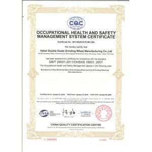 Hebei Double Goats Grinding Wheel Manufacturing Co., Ltd Сертификации