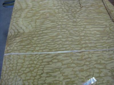 Natural Chinese Ash Burl Wood Veneer Sheet For Decoration