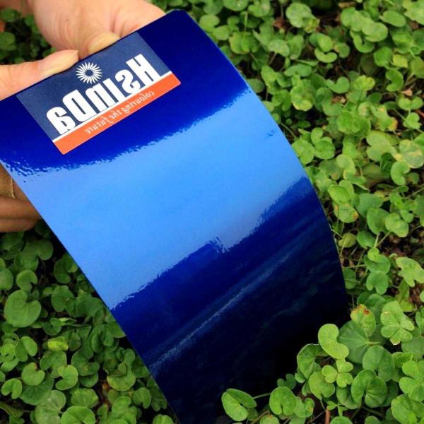 Pulverizador eletrostático azul dândi da pintura do pó da resina do poliéster das peças de automóvel