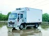 4X2 Automatic Refrigerated Truck for Fresh Fruit Delivery