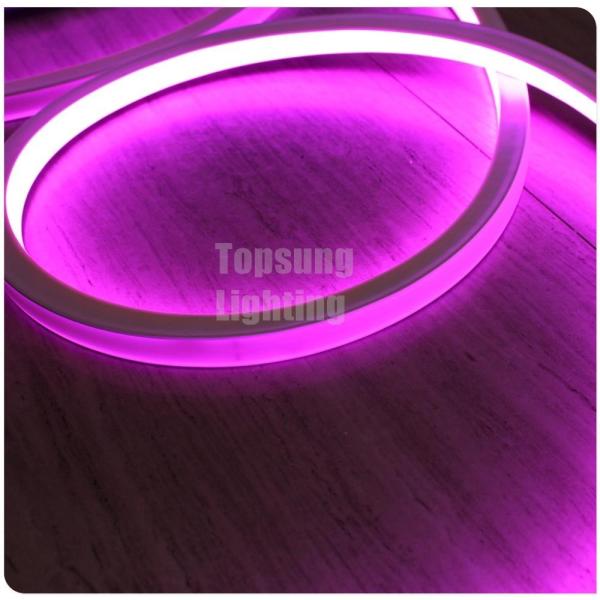 2016 new pink square 12v 16*16m LED neon flex light for room
